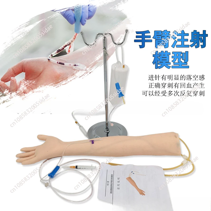 NEW Life Size Anatomical Phlebotomy Venipuncture Practice Arm anatomyInjection practice Medical Simulator Nurse Training kit