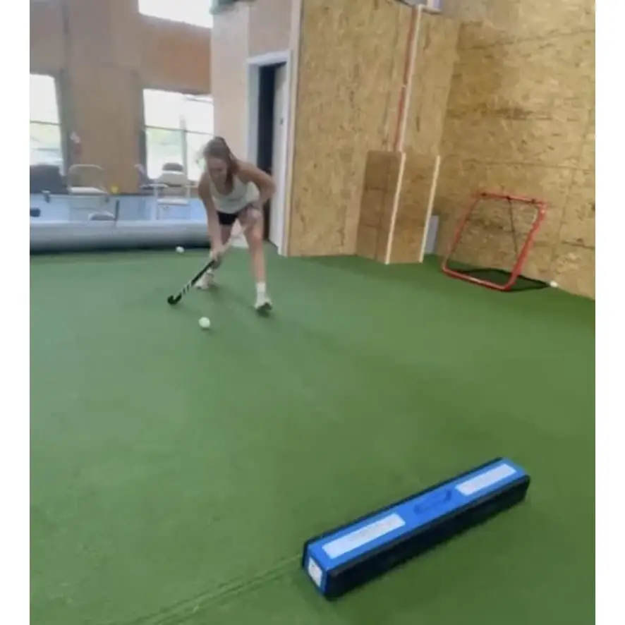 オンアイスとオフアイス/ローラー両用リバウンダー