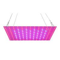 81 Beads LED Grow Light Red Blue Full Spectrum Grow Lamps High Efficiency LED Panel Grow Light for Greenhouse Cultivation