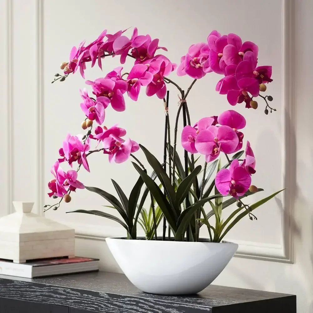 Realistic Pink Orchid in White Ceramic Oval Pot for Home and Cottage Decoration, 28 Tall