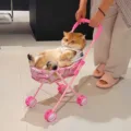 Strawberry pet cart