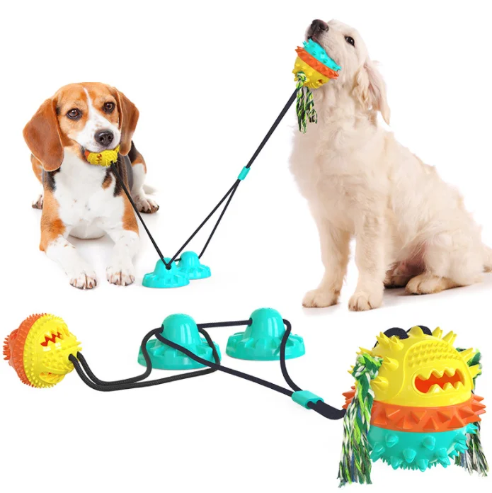 Jouets à mâcher actifs pour chiens, jouets interactifs à mâcher pour chiens, dents dures, grincement, mordre, jouets grinçants, livres de dents