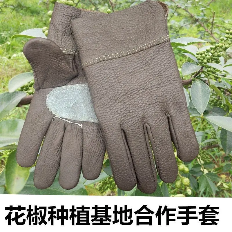 

Picking Pepper Gloves Planting Flowers Cactus Pruning Rose Thorn-Proof Thickened