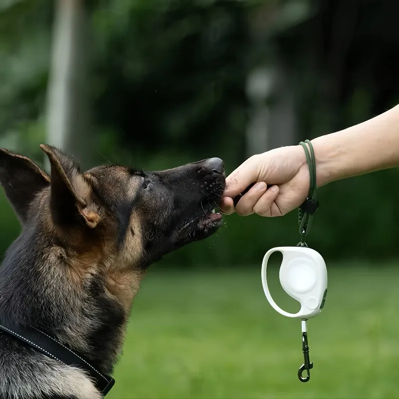 

Modern Plastic Nylon Quick Release Waterproof and Environmentally Friendly Sports Pet Leash Dog leash