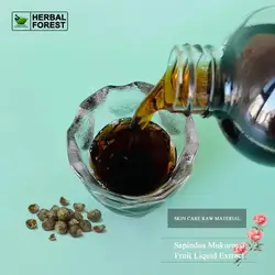 High Quality Soapberry Extract Liquid Essence Anti-hair Loss Hair Care Cosmetic Raw Material Additive