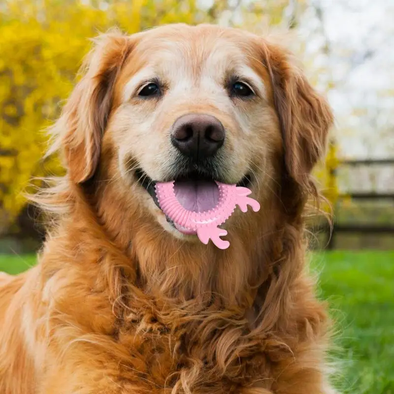 Juguete masticable para perros, cepillo de dientes para masticar, anillo de dentición para cachorros, juguete chirriante Indestructible, mordedores de grado alimenticio