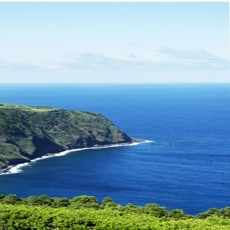 

T-Hobby F1408 II Двигатель Cinewhoop 2800KV 4-6S 3950KV 3-4S Бесщеточный двигатель с подсветкой Супермощный двигатель для FPV 3-4-дюймового гоночного дрона