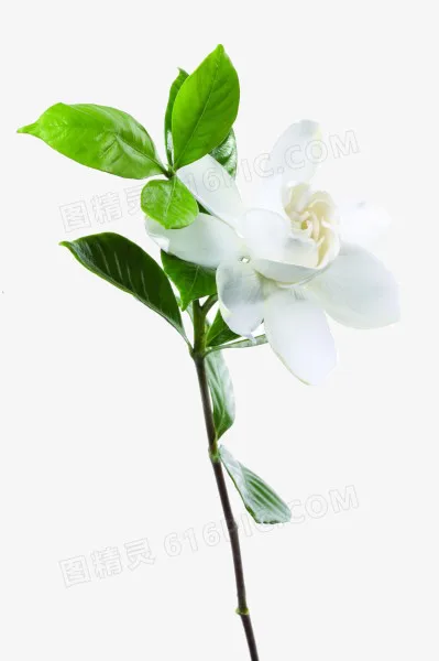 1 Set Thicken Exhaust Pipe HSP 94122/94166/94106/BQ001 Baja Engine Parts Upgrade For 1/10 Scale Models Nitro RC Car