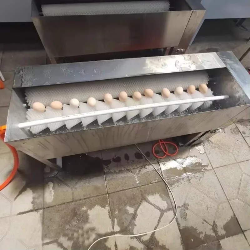 ماكينة غسل الدجاج والبط والبيض من الفولاذ المقاوم للصدأ معدات تنظيف البيض التجارية