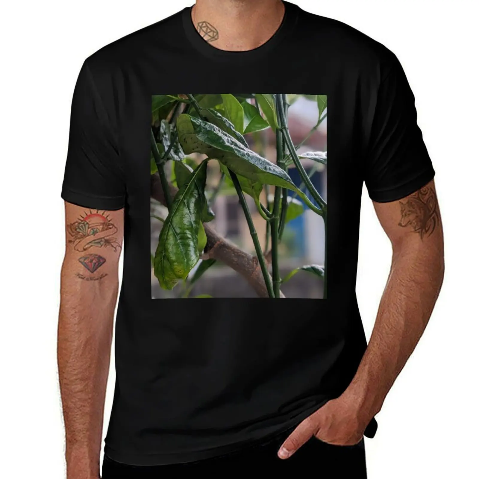 

Golden Sunlight Filtering Through Autumn Leaves T-Shirt valentines clothes custom t-shirts topping oversized t shirts for men