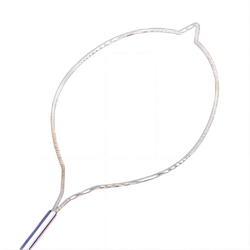 High quality clinical instrument Disposable Polypectomy Snare for removing polyps in digestive tract