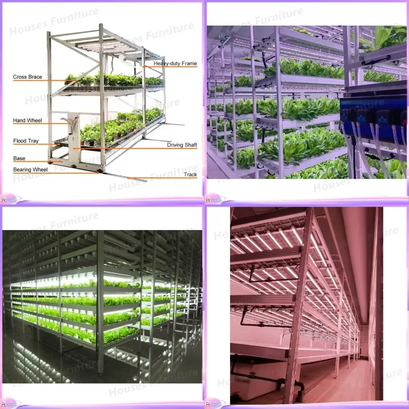 Custom Automatic Vertical Agricultural Seedling Bed Mobile Planting Rack Galvanized Steel Herb Garden Shelf Greenhouse