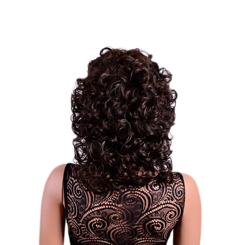 Brown Highlight Synthetic Wig for Women Curly with Bangs Natural Fluffy Short Style for Daily Cosplay Party Black Women