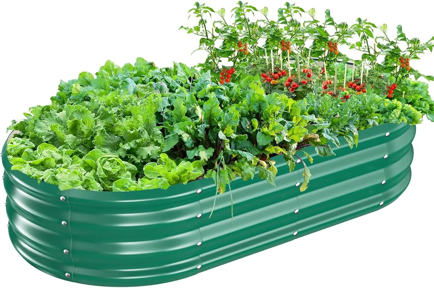 

Oval Galvanized Planter Box, Metal Raised Garden Bed - 0.8MM Thick- Ideal for Outdoor Gardening and Planting of Vegetables Flowe