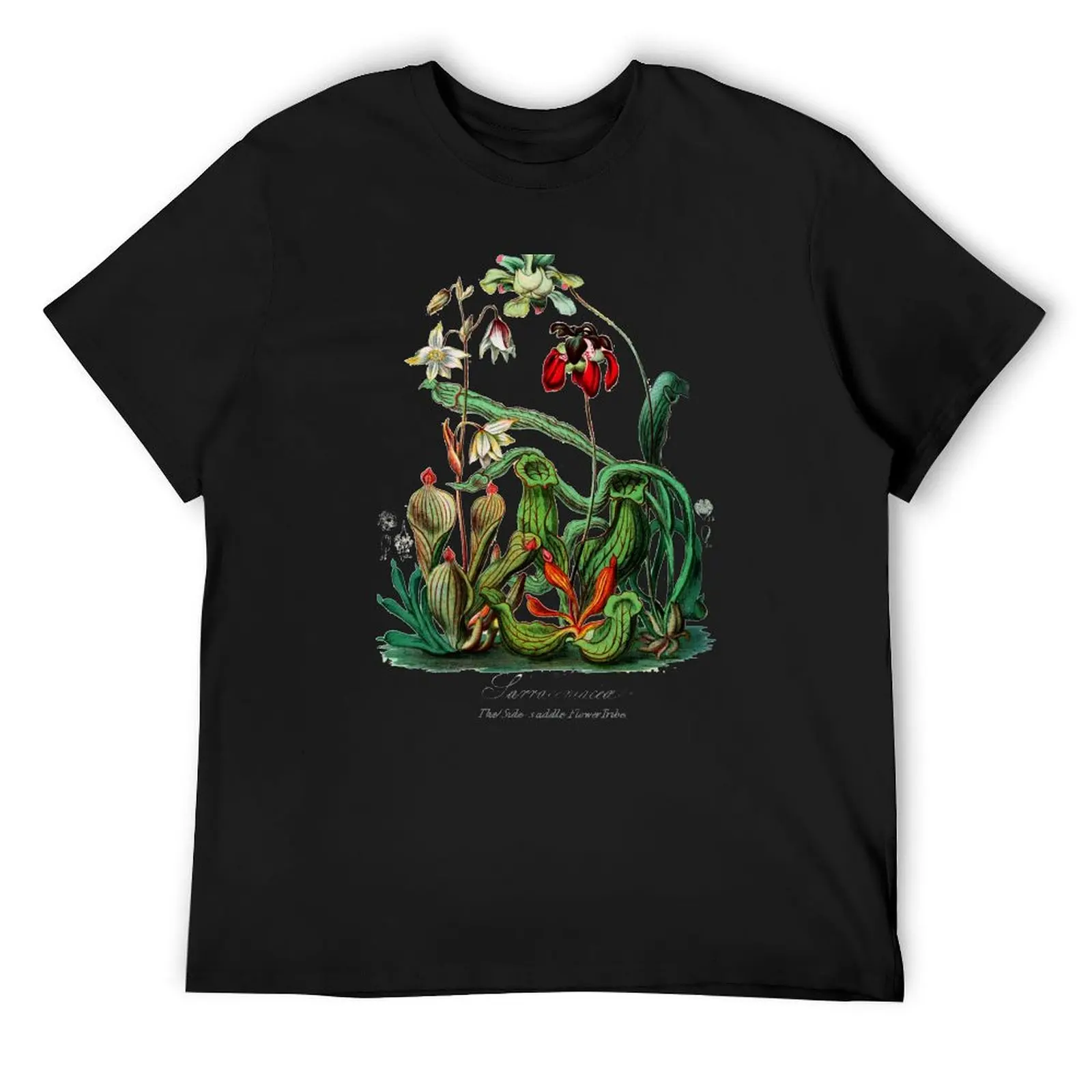 

Carnivorous Plants Vintage Sarracenia Botanical T-Shirt graphic tee shirt oversized t shirt shirts graphic tee men