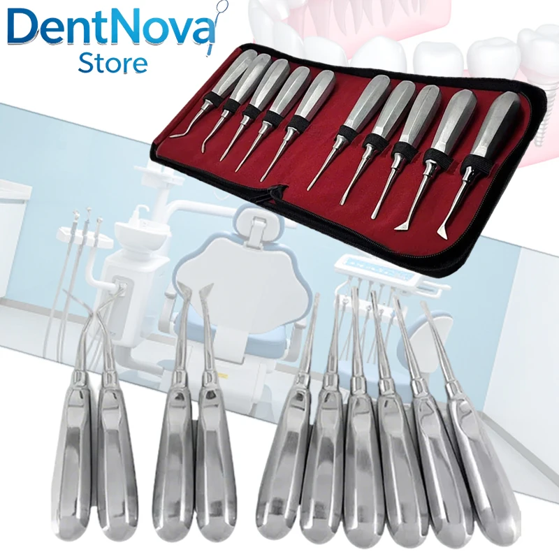 10Pcs Dental Elevator Stainless Steel Tooth Dentist Tools Kit Straight Curved Root Elevator Minimally Invasive Dentistry Tools