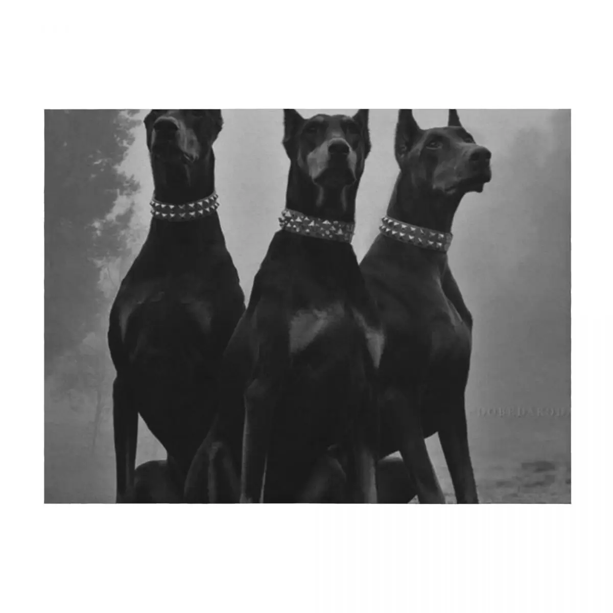 

Queen Dobermans Throw Blanket Winter beds Weighted wednesday Flannel Fabric Blankets