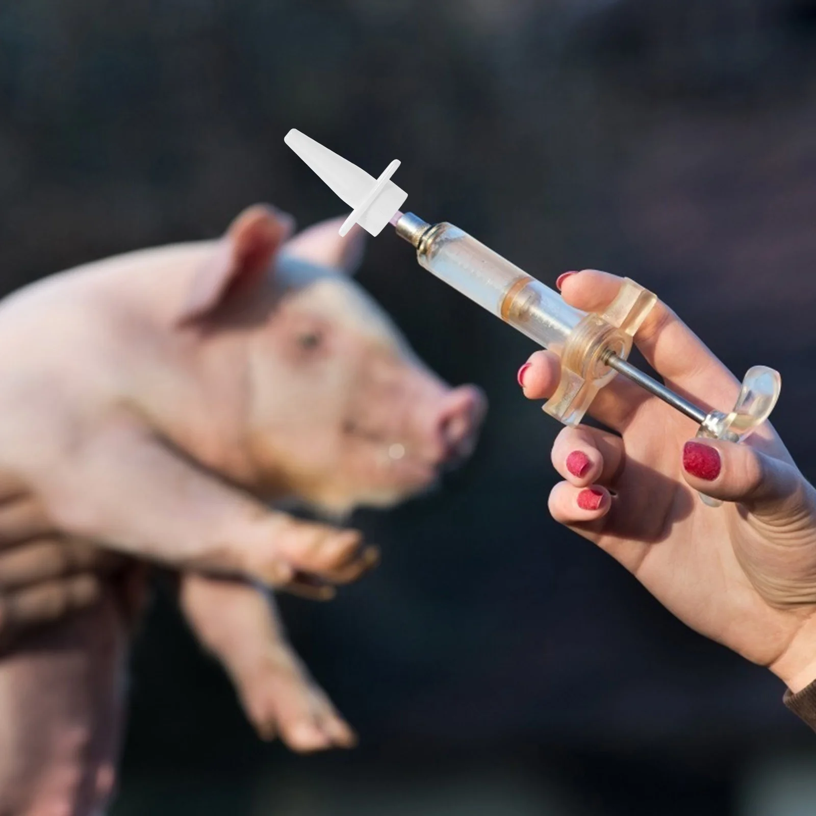 

Pig Nasal Spray Nozzle Fine Mist Syringe White Plastic Safe Injection Head for Pigs Lightweight Portable Household Use