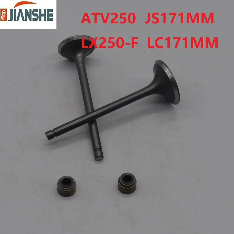 jianshe 250cc atv engine valve outlet inlet valve seal atv250 JS171MM  bashan loncin rato 250cc buggy quad  free shipping