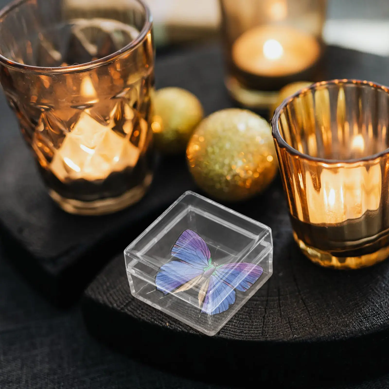 10Pcs Clear Plastic Specimen Box Transparent Display Case for Rocks Minerals Specimens Storage Organizer with Sealed Lid
