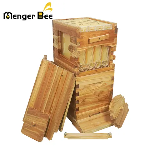 Équipement efficace pour l'apiculture, flux automatique du miel, ruche des abeilles, cadres de 4 pièces, Kit de ruche à écoulement gratuit, adapté aux débutants