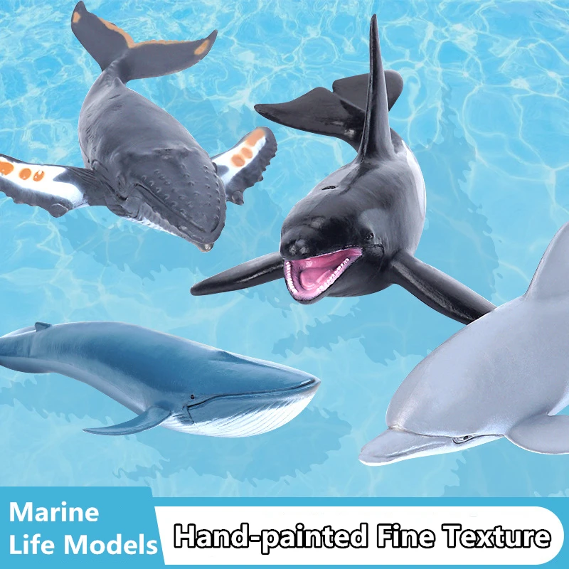 Simulation Marine Sea Life Killer Whale Figurine Shark Toy Action Figures Ocean Animal Model Dolphin Hammerhead Educational Toys