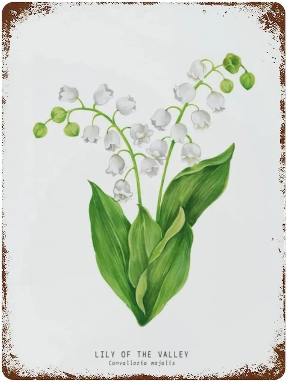 Vintage Metal Tin Sign Lily Of The Valley Home Decor Funny Novelty Kitchen Bar Club Garage Garden Farm Wall Art Tin Signs 8x12 I