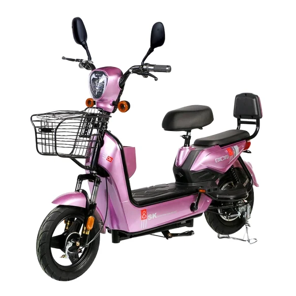 

Acid Battery Electric Bicycle Adult 2 Wheel Electric Bike City Support OEM/ODM Design Electric Bike For Sale 3 Speed Lead