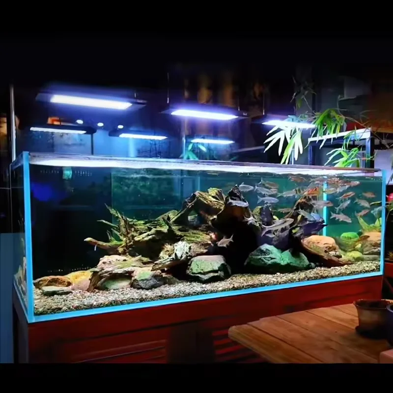 Luce LED per Acquario con Effe - Aquarium Led Light recensione e prezzo