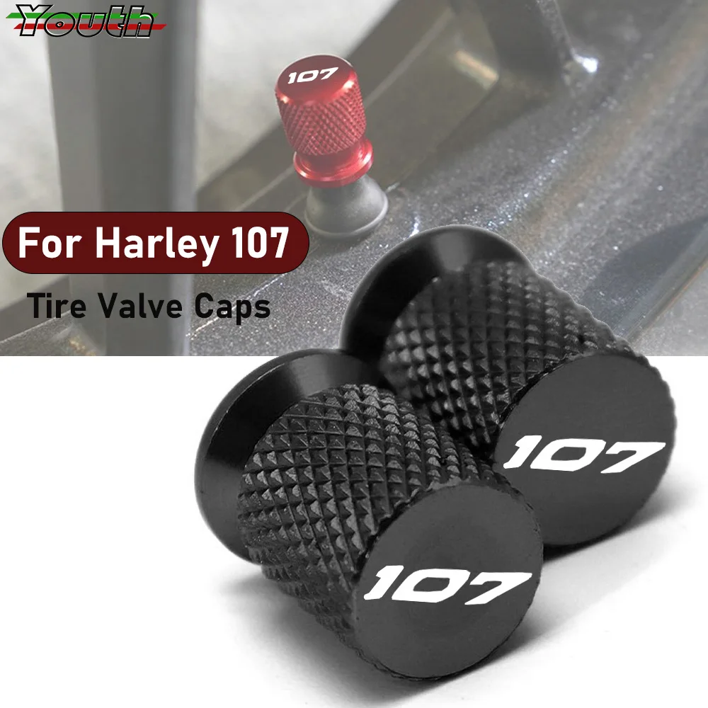 For Harley Touring Road King Electra Glide Street Glide Softail Fat Boy 107 Motorcycle CNC Tire Valve Stem Caps Cover Plugs