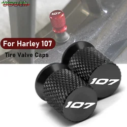 For Harley Touring Road King Electra Glide Street Glide Softail Fat Boy 107 Motorcycle CNC Tire Valve Stem Caps Cover Plugs