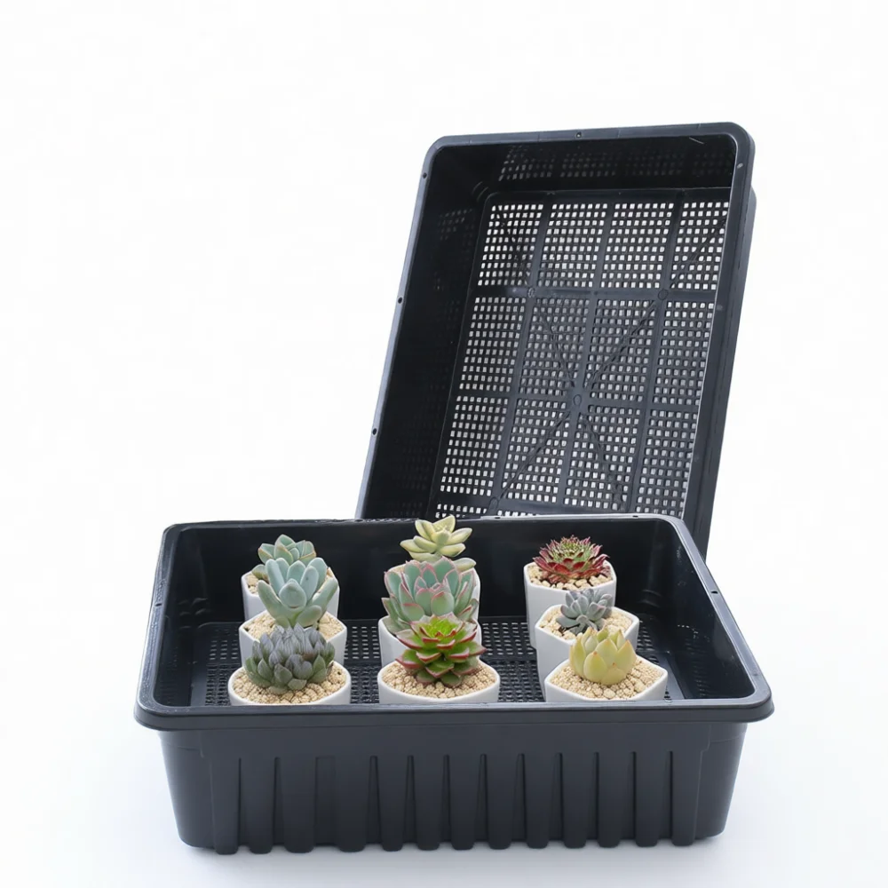 Garden Seed Starter Tray Thickened Plastic Nursery Pot Vegetable Growth Container Detachable Propagation Box Shelf