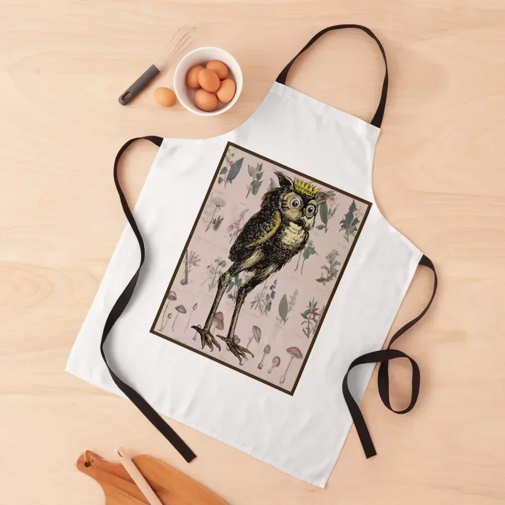 

Prince Stolas Apron custom women's kitchen work gowns for women cleaning All For Kitchen And Home Hairdressing Apron