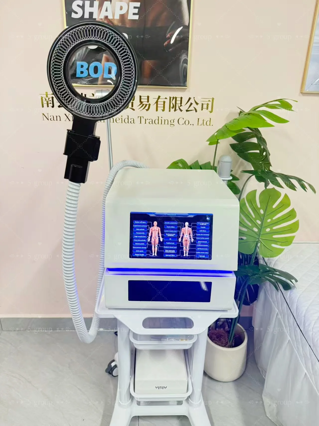 

Emtt Physio Magneto therapy Hottest Magnetoterapia Pain Relief PEMF Sports Injury Therapy Magnetotherapy Physiotherapy Device