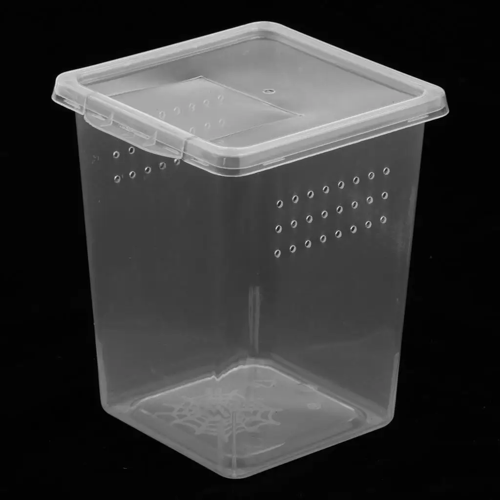 Plastic Insect Habitat Feeding Box Case Container Tank Transport Case Hatching Tank Reptile Tank Habitat Case