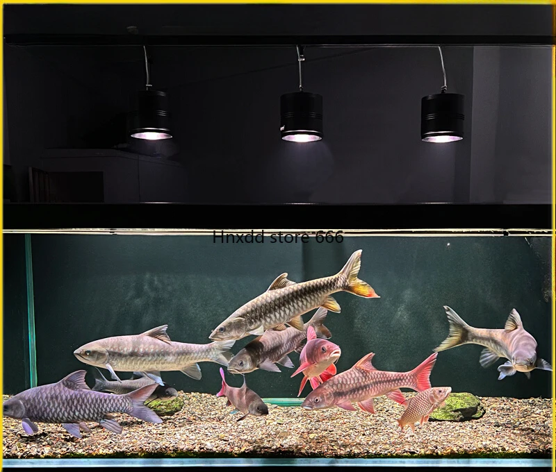 Color rendering original ecological fish tank stream