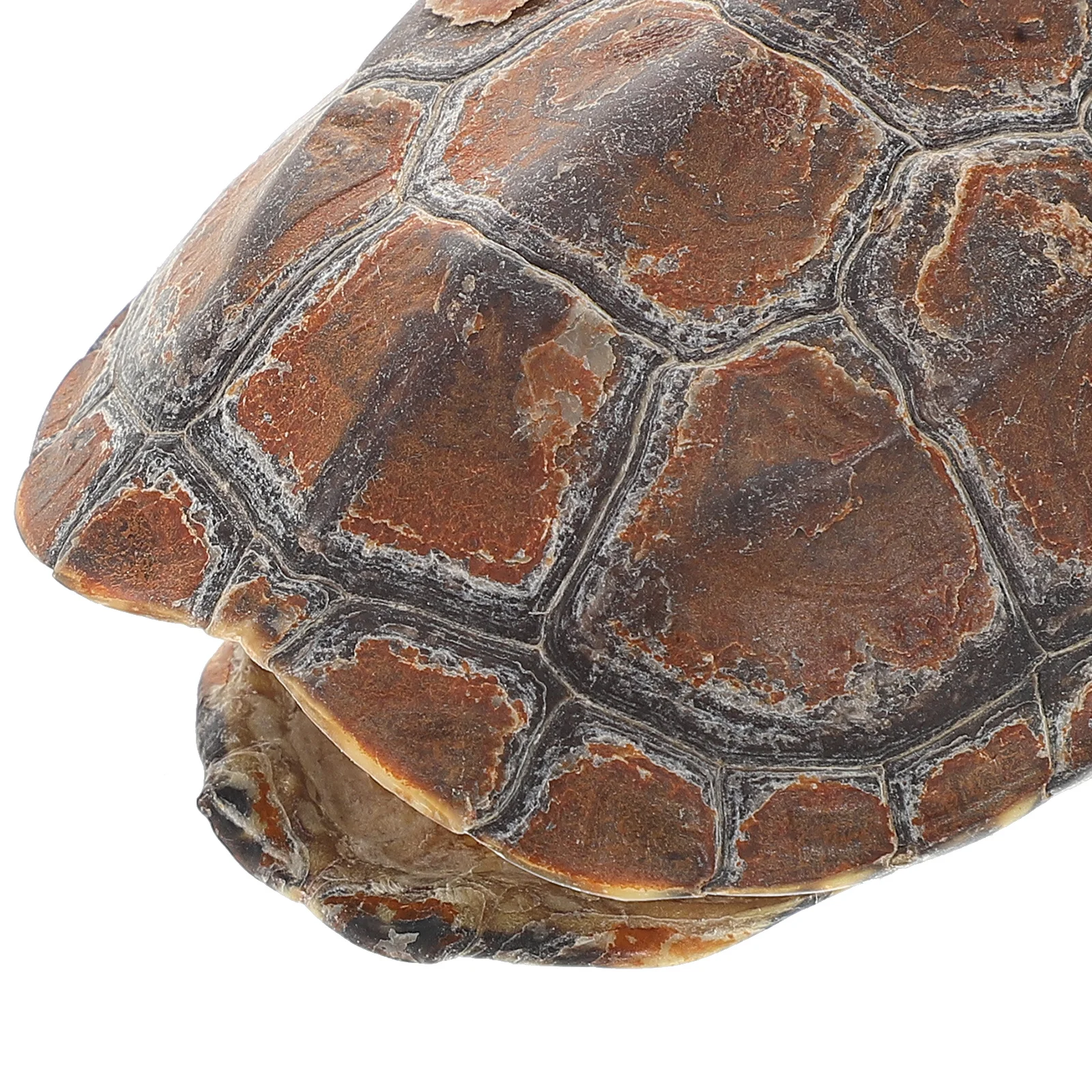 

1 set Retro Turtle Shell Handpiece Unique Design Divination Tool For Relaxation Home Office Decor Living Room Aesthetic Metal