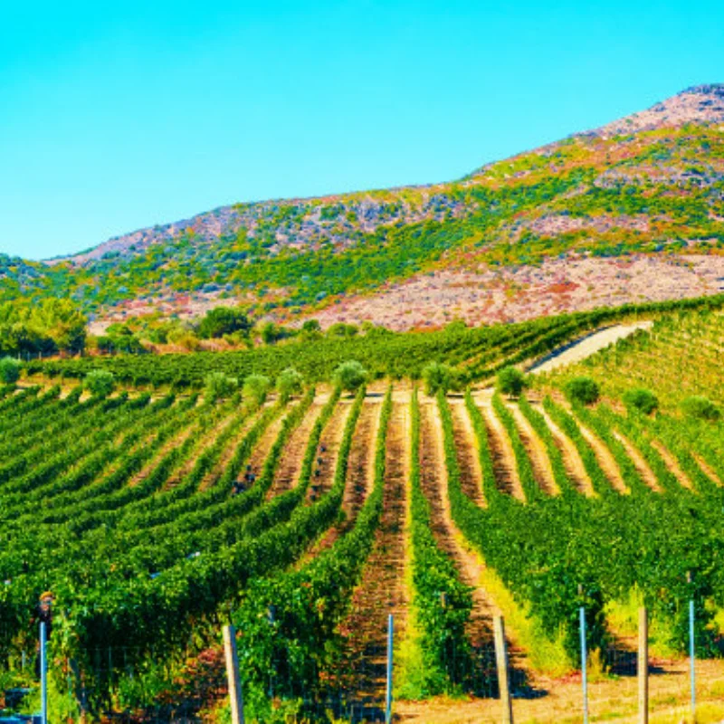 

4 шт. стальной передний и задний приводной вал CVD карданный вал для Trxs Mini Maxx Monster Truck RC автомобиль обновленные детали аксессуары