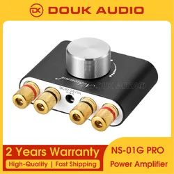 Douk Audio Mini Bluetooth 5.0 Digital Amplifier NS-01G Hi-Fi Stereo Home Audio TPA3116 Power Amplifier 100W