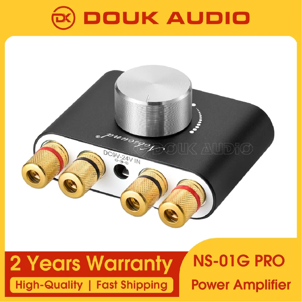 Douk Audio Mini Bluetooth 5.0 Digital Amplifier NS-01G Hi-Fi