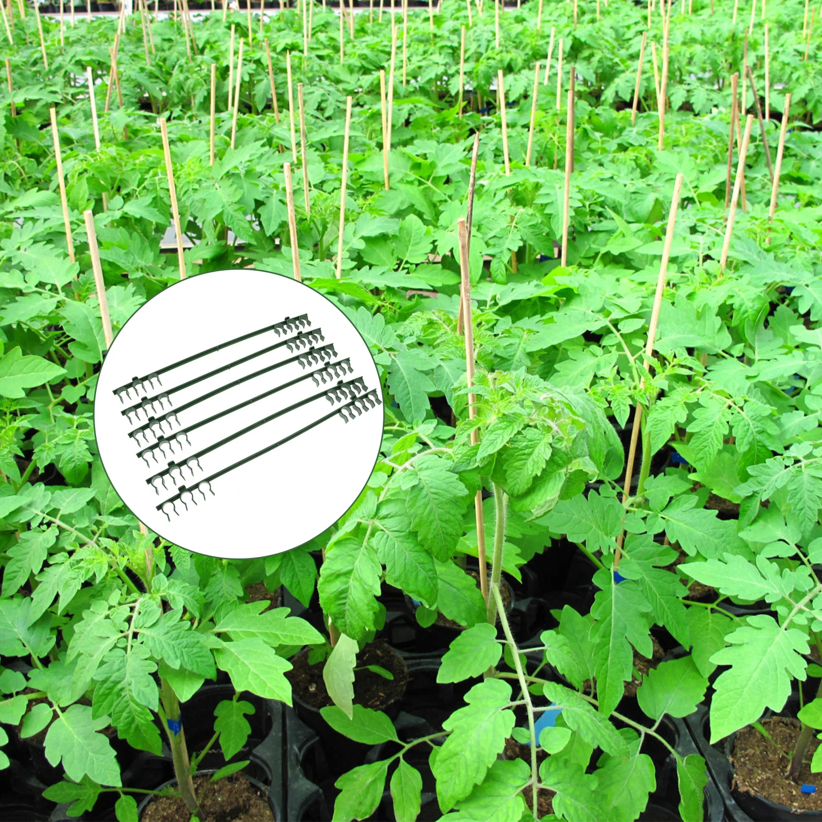 

50 Pcs able Stake Arms Plant Support Connectors Gardening Accessories Plastic Adjustable Tomato Rack Climbing Vine