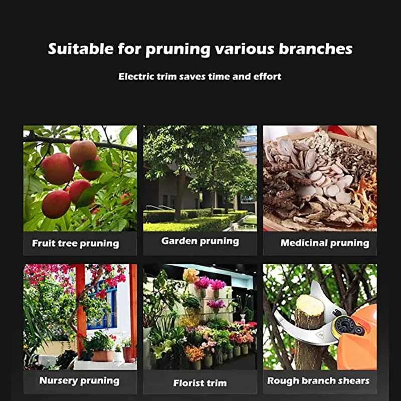 Thumbnail 4 - #2 Latest Gardening Tool Sets Updates