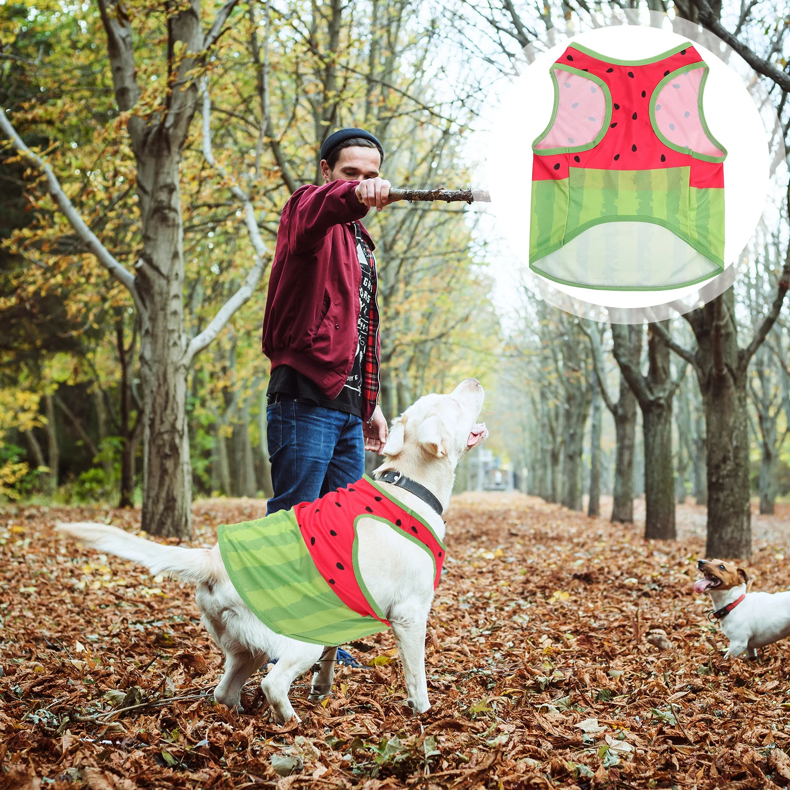 

Pet Cool Clothes Summer Puppy Accessories Vest Clothing Dog Outfit Shirt Cooling