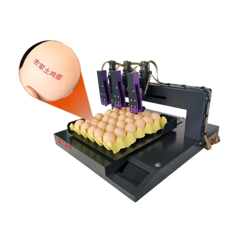 WECARE  600dpi Expiry Date Logo Number Online Batch Code Automatic Egg Stamping Inkjet Printer
