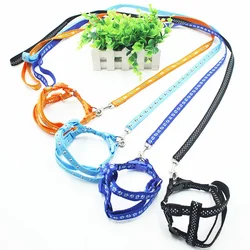 Pet Dog Collar Small Dog Cat Harness Leash Adjustable Vest Collar Puppy Outdoor Walking Chihuahua Terier Schnauzer Nyloon Leash