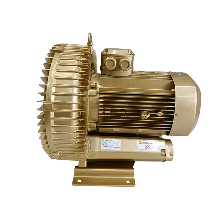 5.5kW High Energy Efficiency IE4 Serial 3-Phase Induction Motor Side Channel Ring Blowers