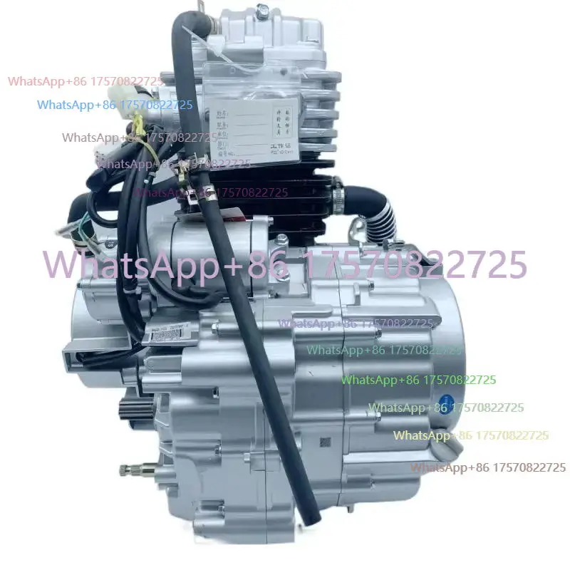 

Двигатель Hi-Valiant 300cc ZS174MN-2 с водяным охлаждением, электрическим и кик-стартером, 5-ступенчатой коробкой передач.