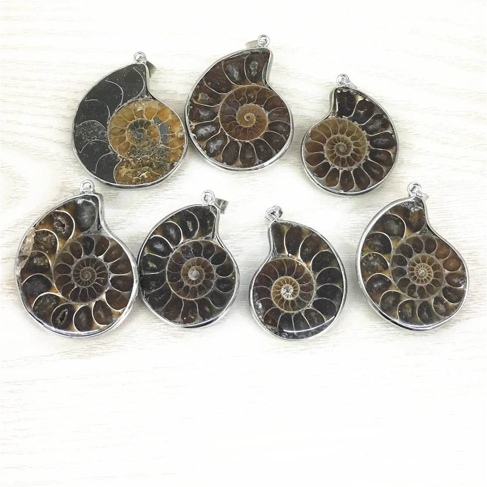 

Wholesale 6pcs/lot Fashion Natural Stone Ammonite Snail Seashell Pendants for Jewelry Accessories Making Dropshipping