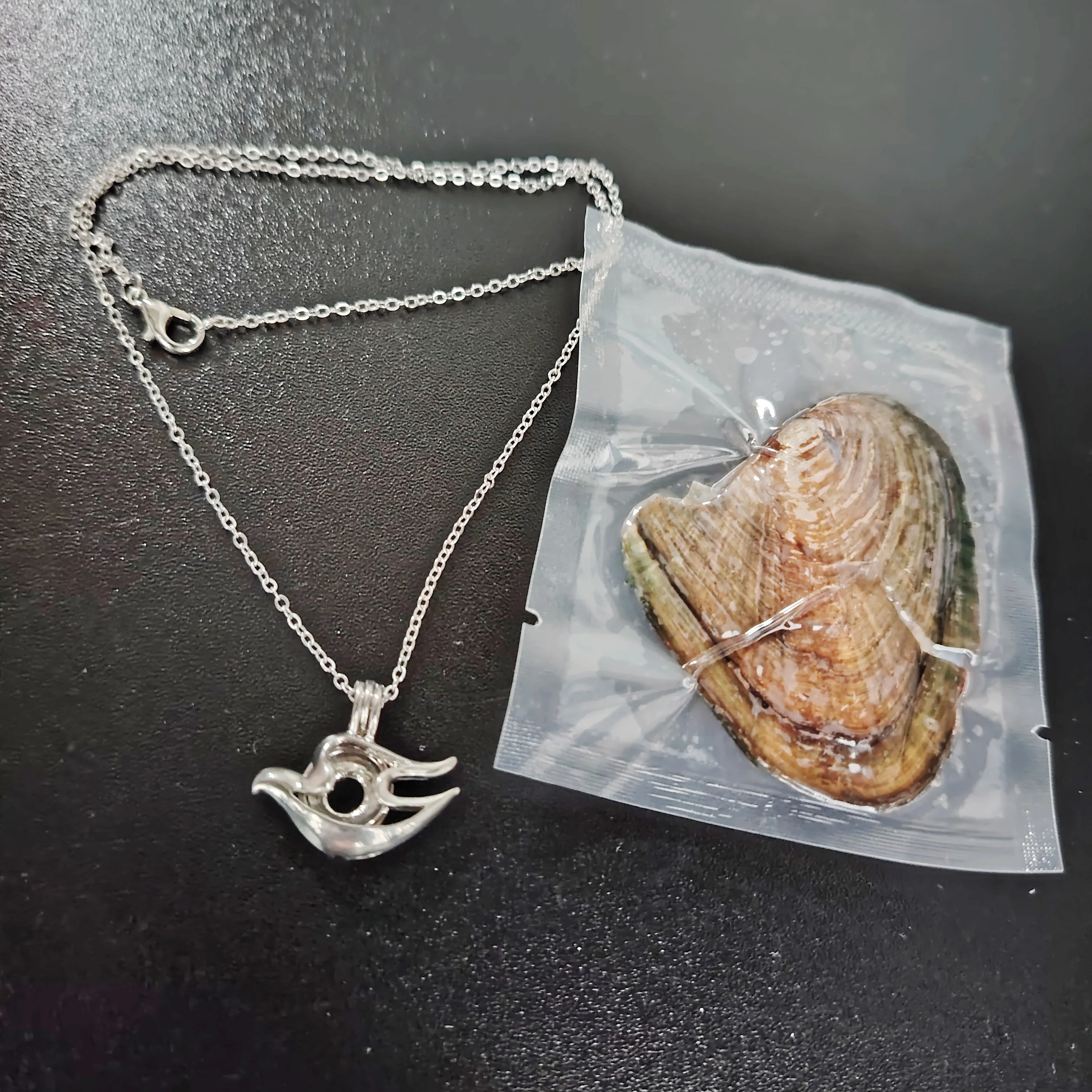 DIY Pearl Oyster Necklace Set With Fine Real Natural Pearl Mussel & Can Free Open Dove Bat Frog Owl Penguin Shape Cage Pendant