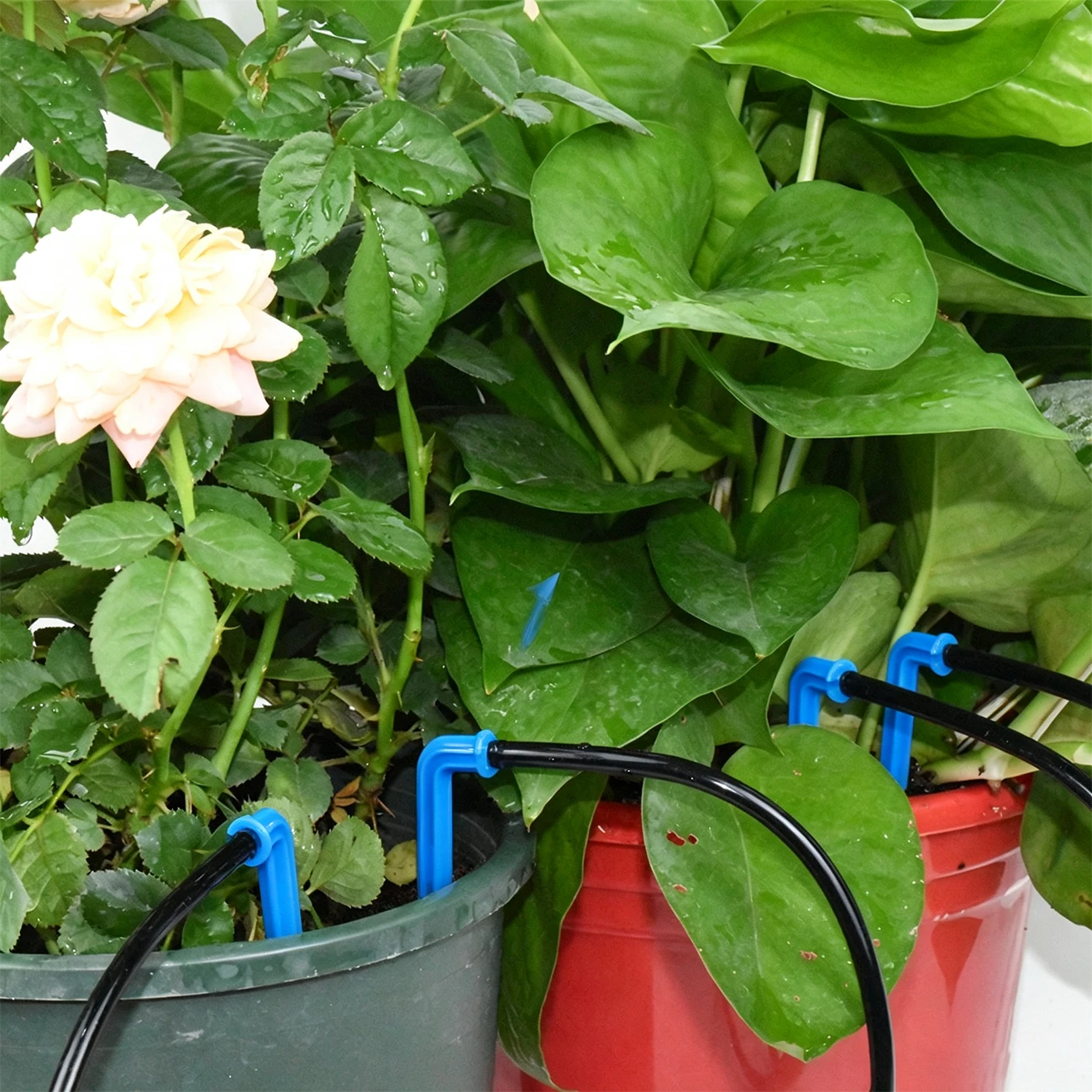 Kit d'irrigation goutte à gout - Irrigation Drip Tape avis et prix